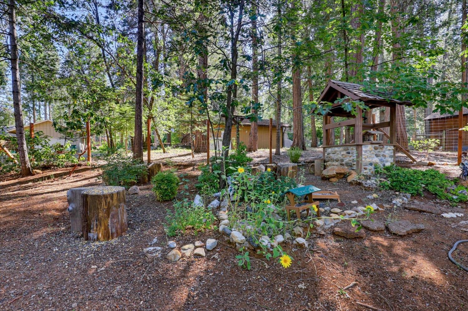 12692 Red Dog Road Nevada City, CA 95959 - Photo 40 of 43