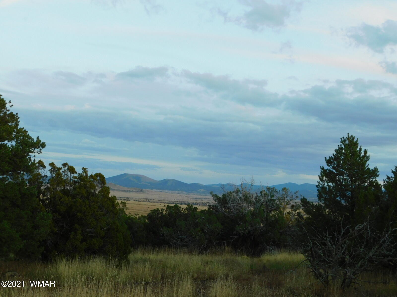 Tbd Jaguar Road Concho, AZ 85924 - Photo 1 of 15