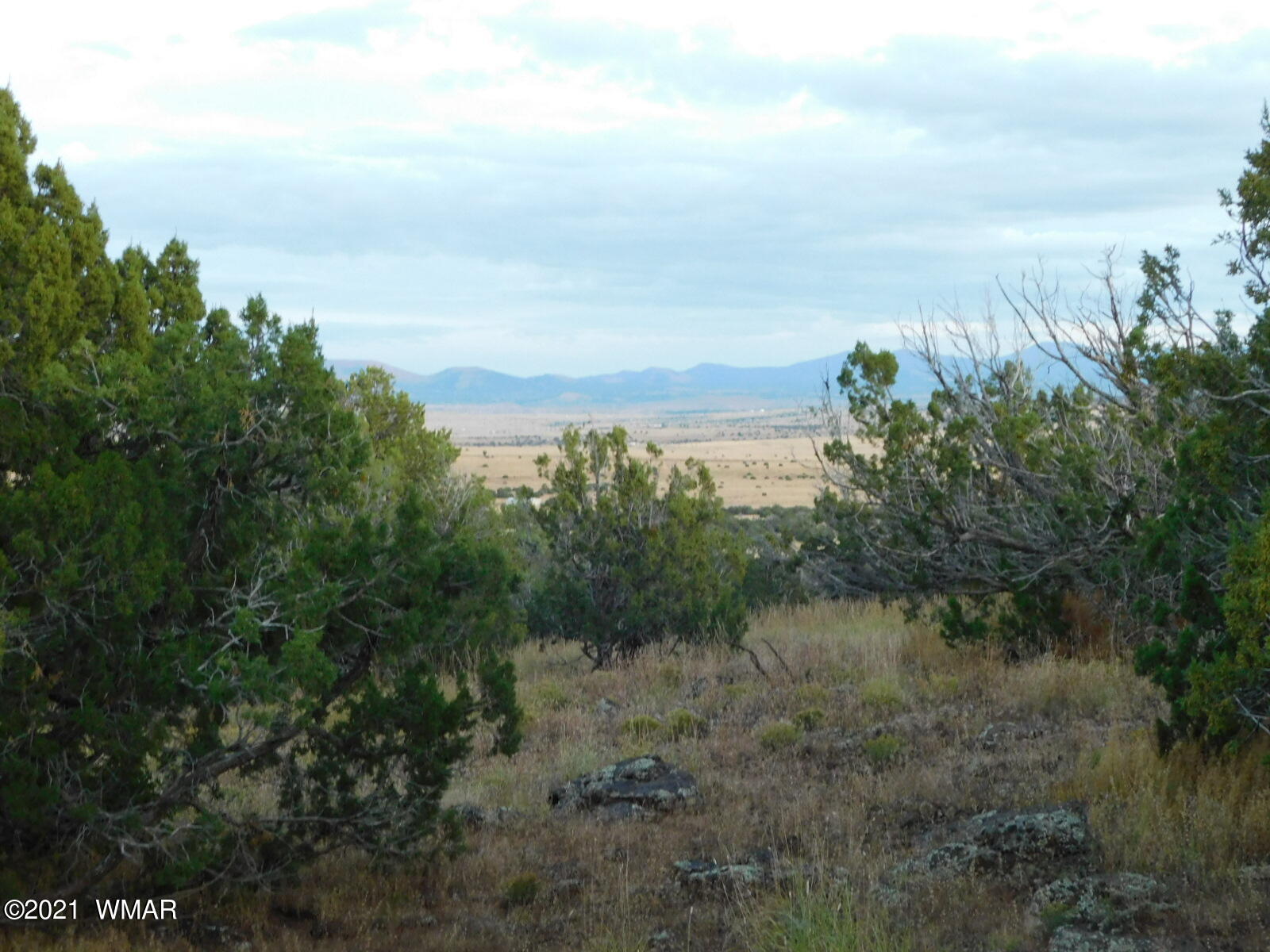 Tbd Jaguar Road Concho, AZ 85924 - Photo 4 of 15