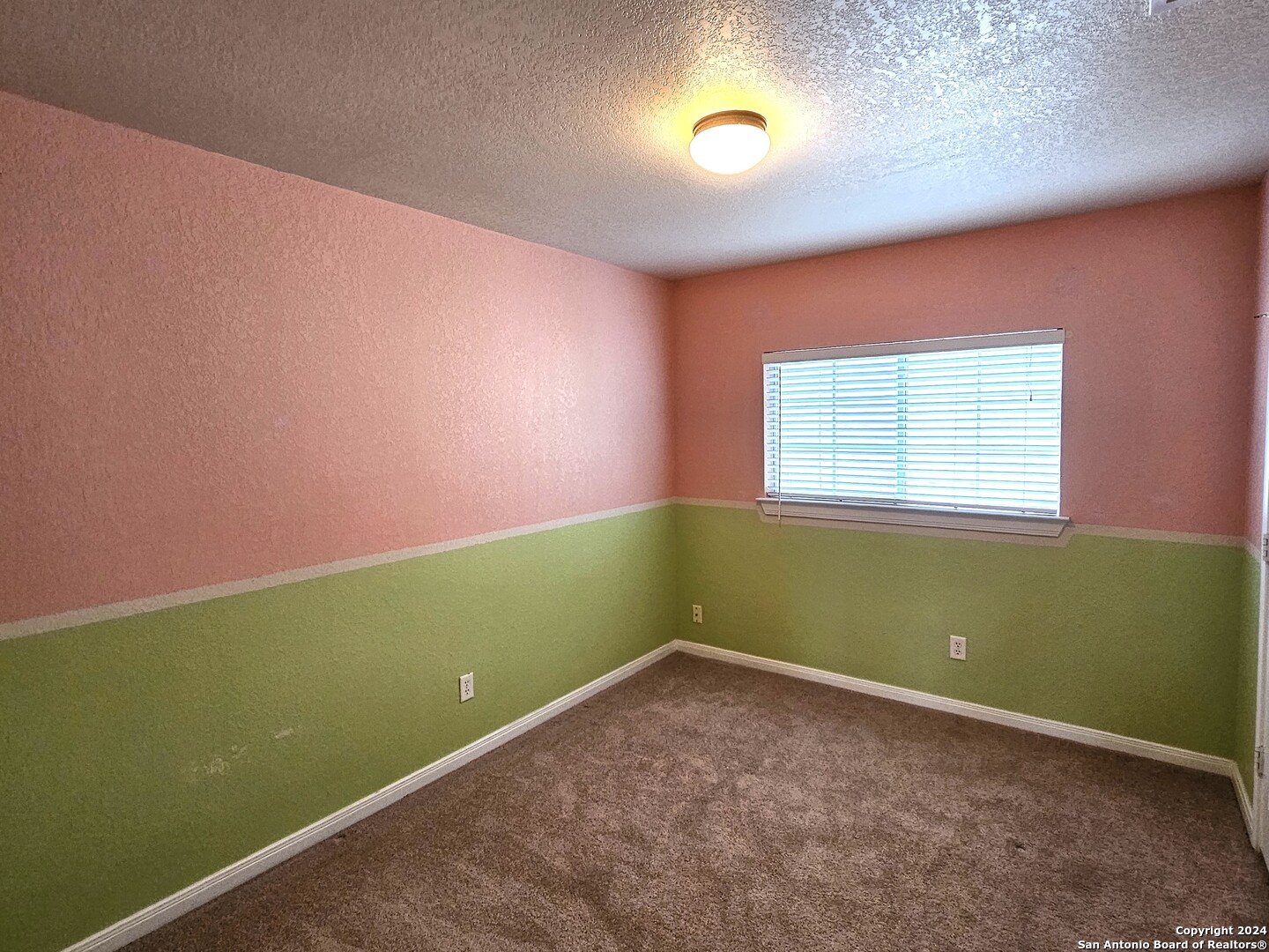 208 Springtree Cove Cibolo, TX 78108 - Photo 26 of 36
