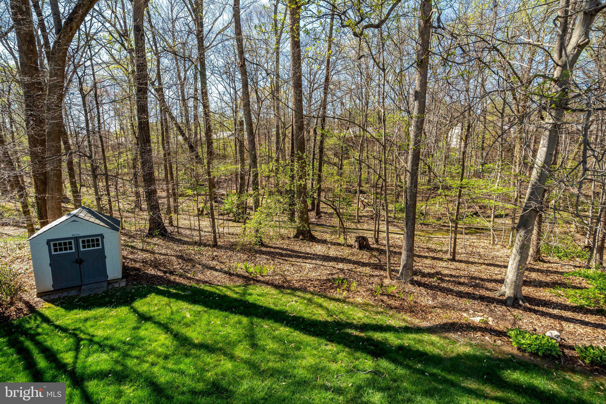 9010 Brook Ford Road Burke, VA 22015 - Photo 40 of 46 Super sweet backyard with naturalized area!