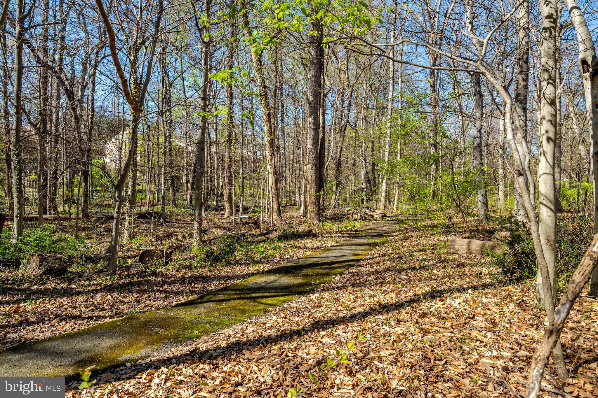 9010 Brook Ford Road Burke, VA 22015 - Photo 44 of 46 Walking path behind home!
