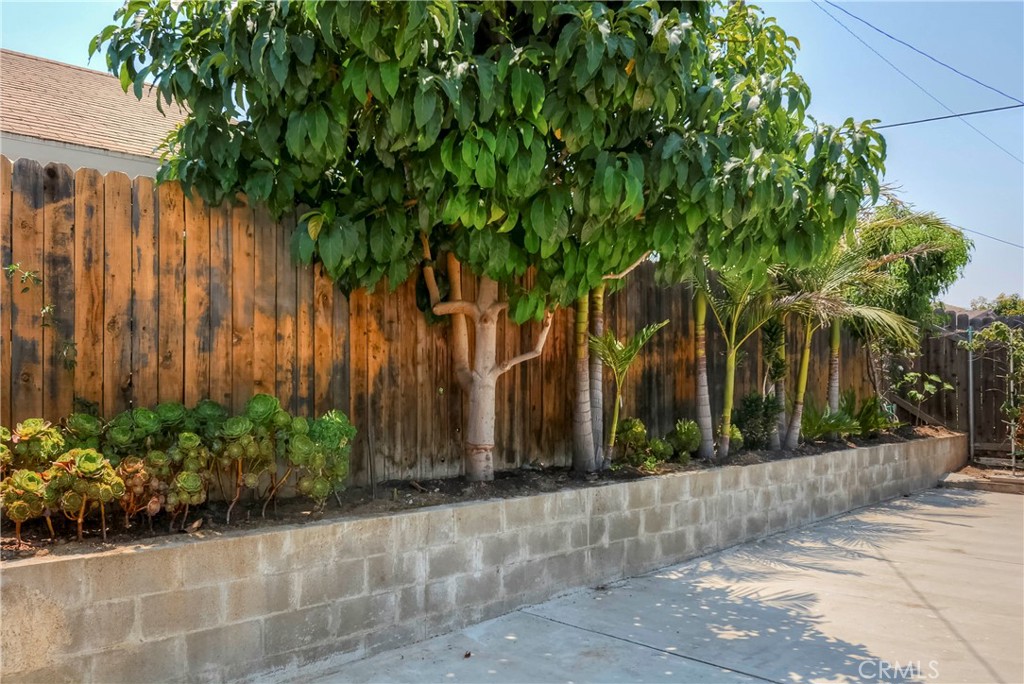 3446 Briarvale Street Corona, CA 92879 - Photo 35 of 37 a view of a backyard with potted plants