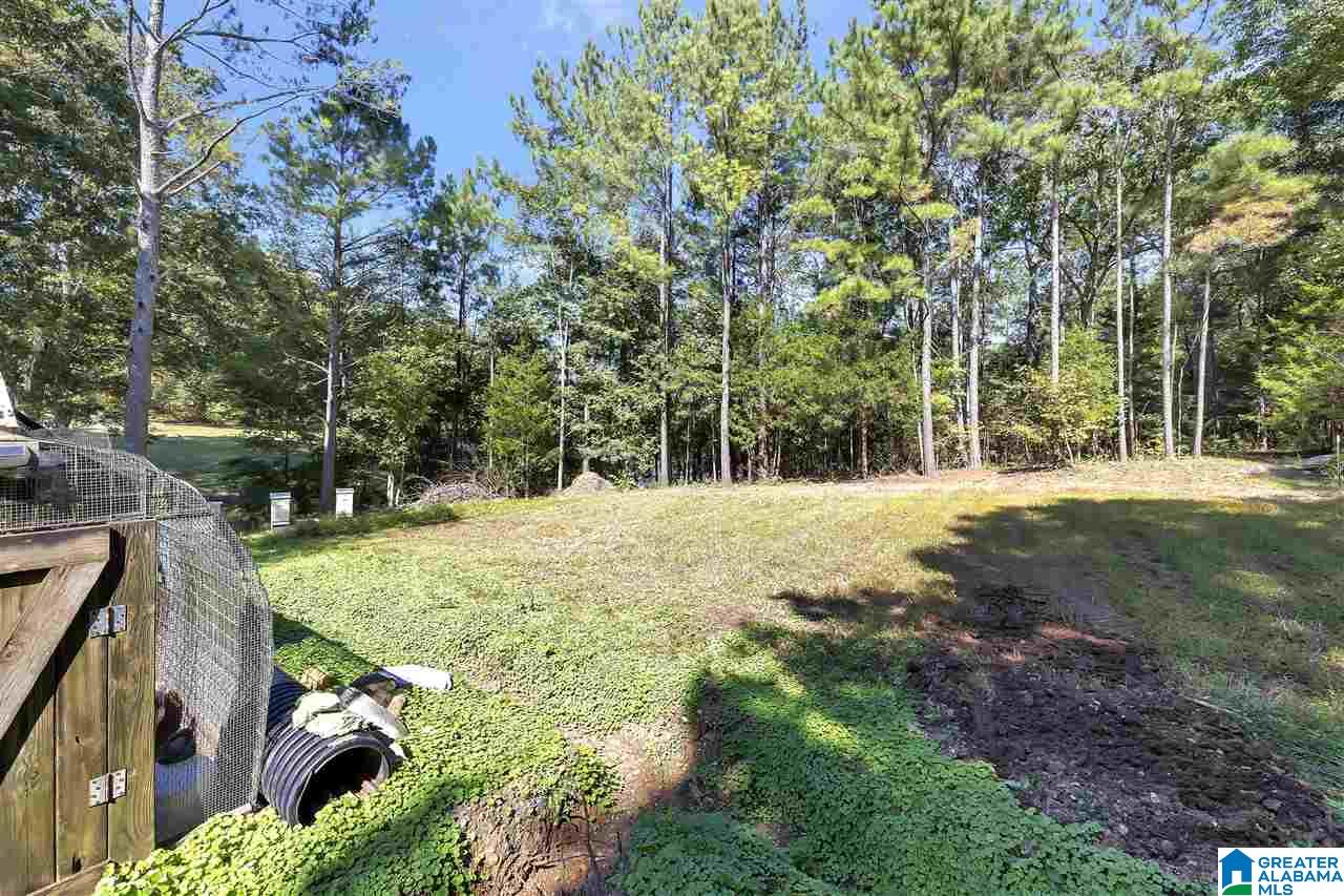 8097 McIntyre Road Trussville, AL 35173 - Photo 18 of 19