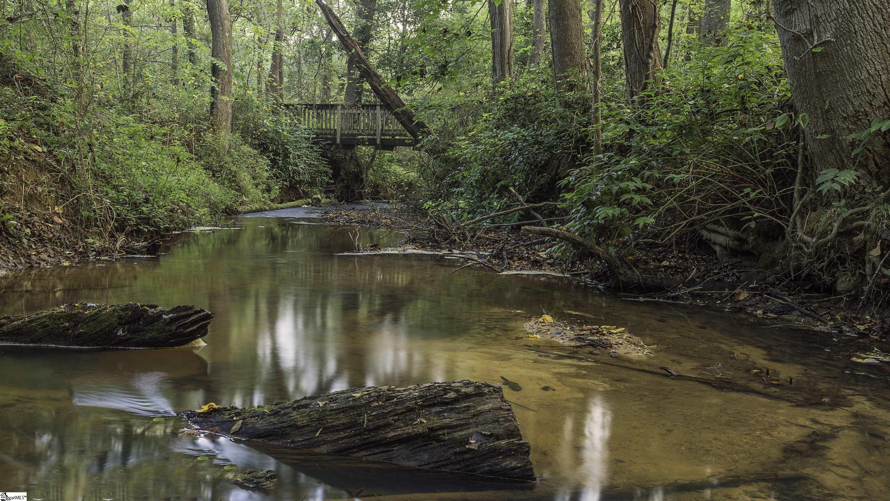 417 Plevin Way Pelzer, SC 29669 - Photo 44 of 45