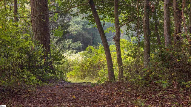 $749,990 | 417 Plevin Way, Pelzer, SC 29669