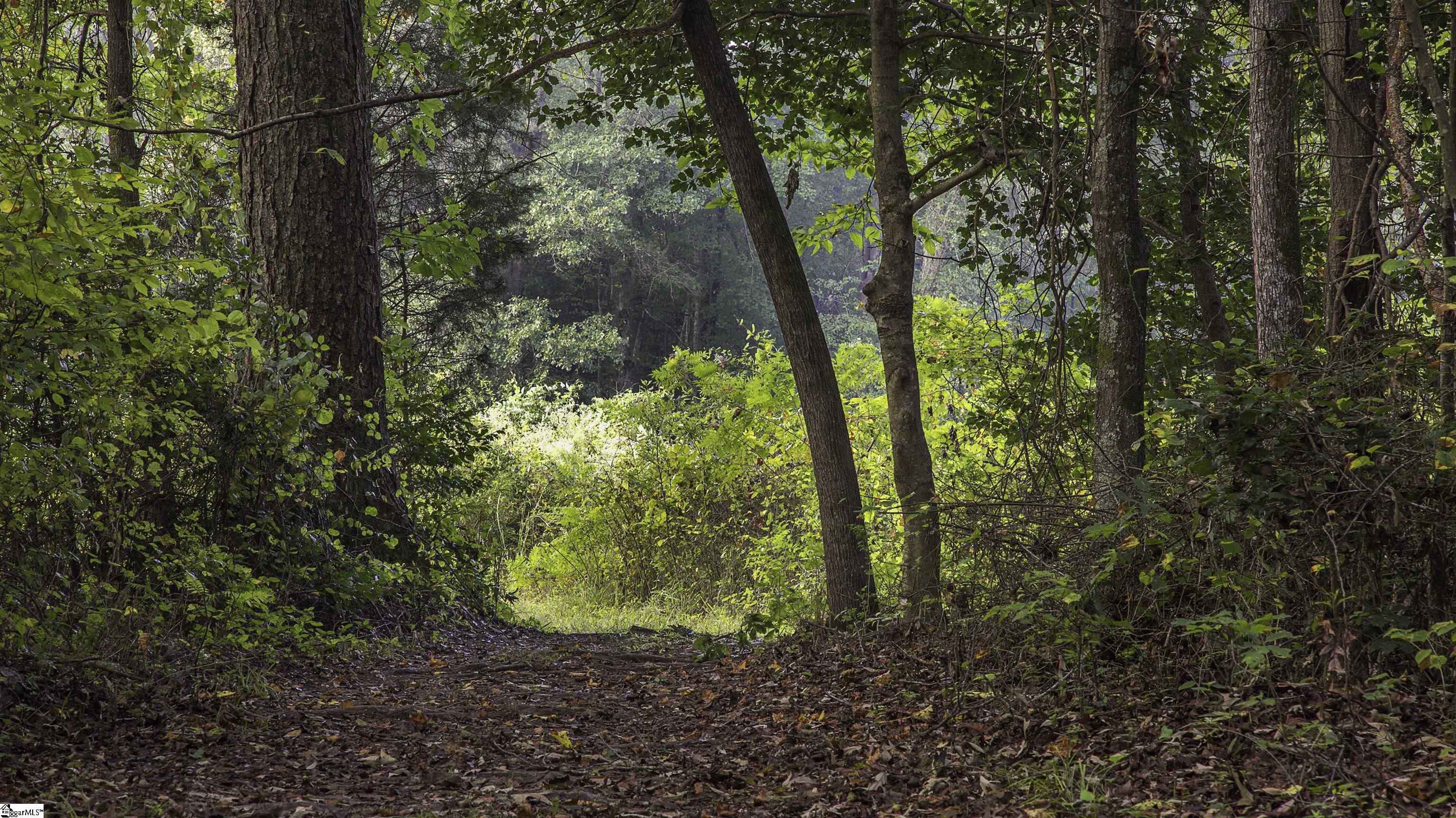 417 Plevin Way Pelzer, SC 29669 - Photo 45 of 45