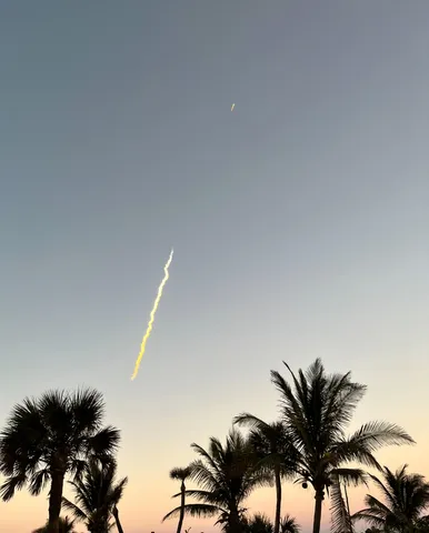 a swimming pool with a view of palm trees