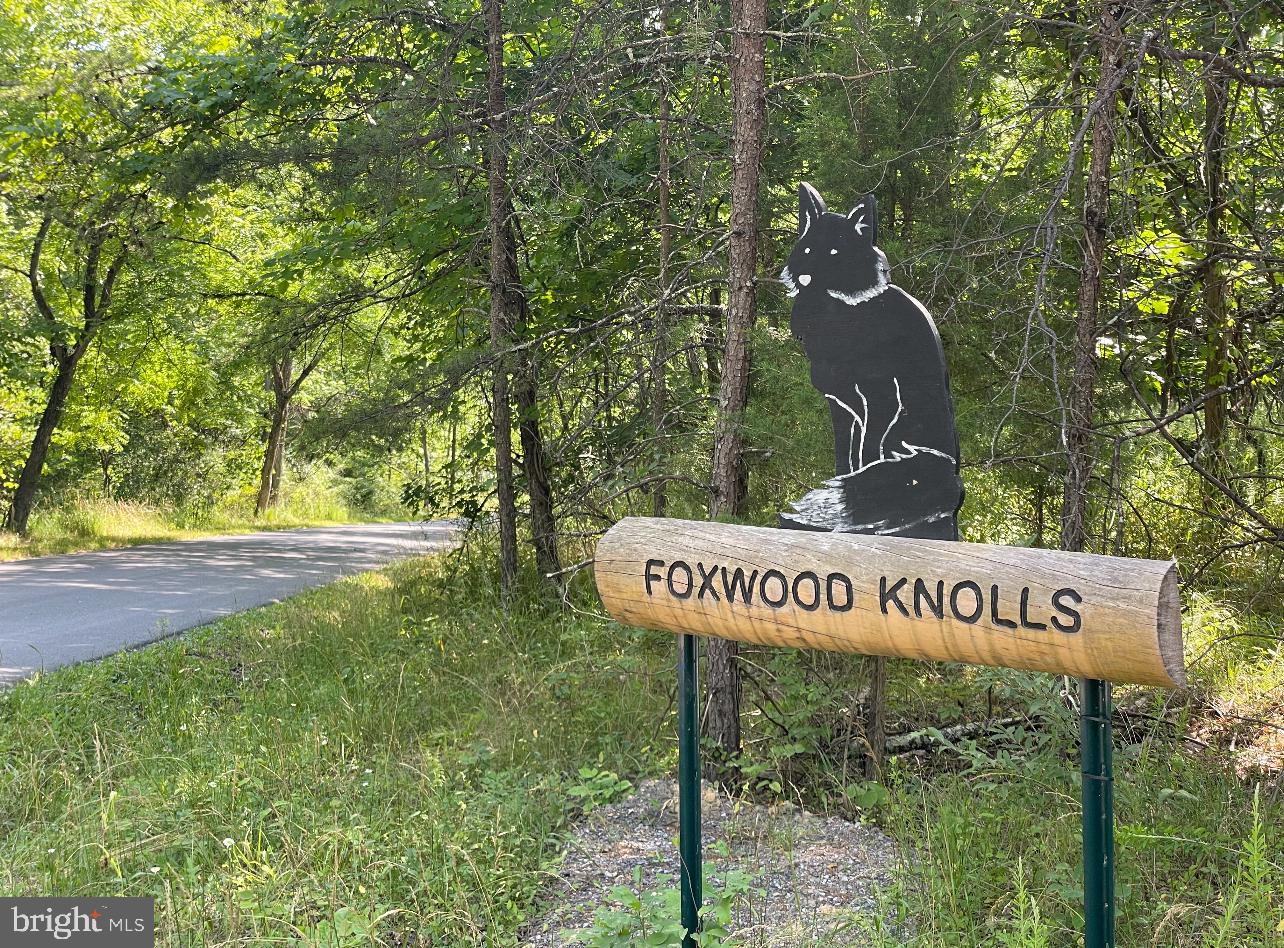 Vulpine Drive Gerrardstown, WV 25420 - Photo 3 of 5 a sign that is on a pole