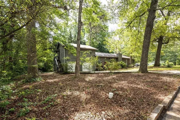 a view of a yard with plants and trees