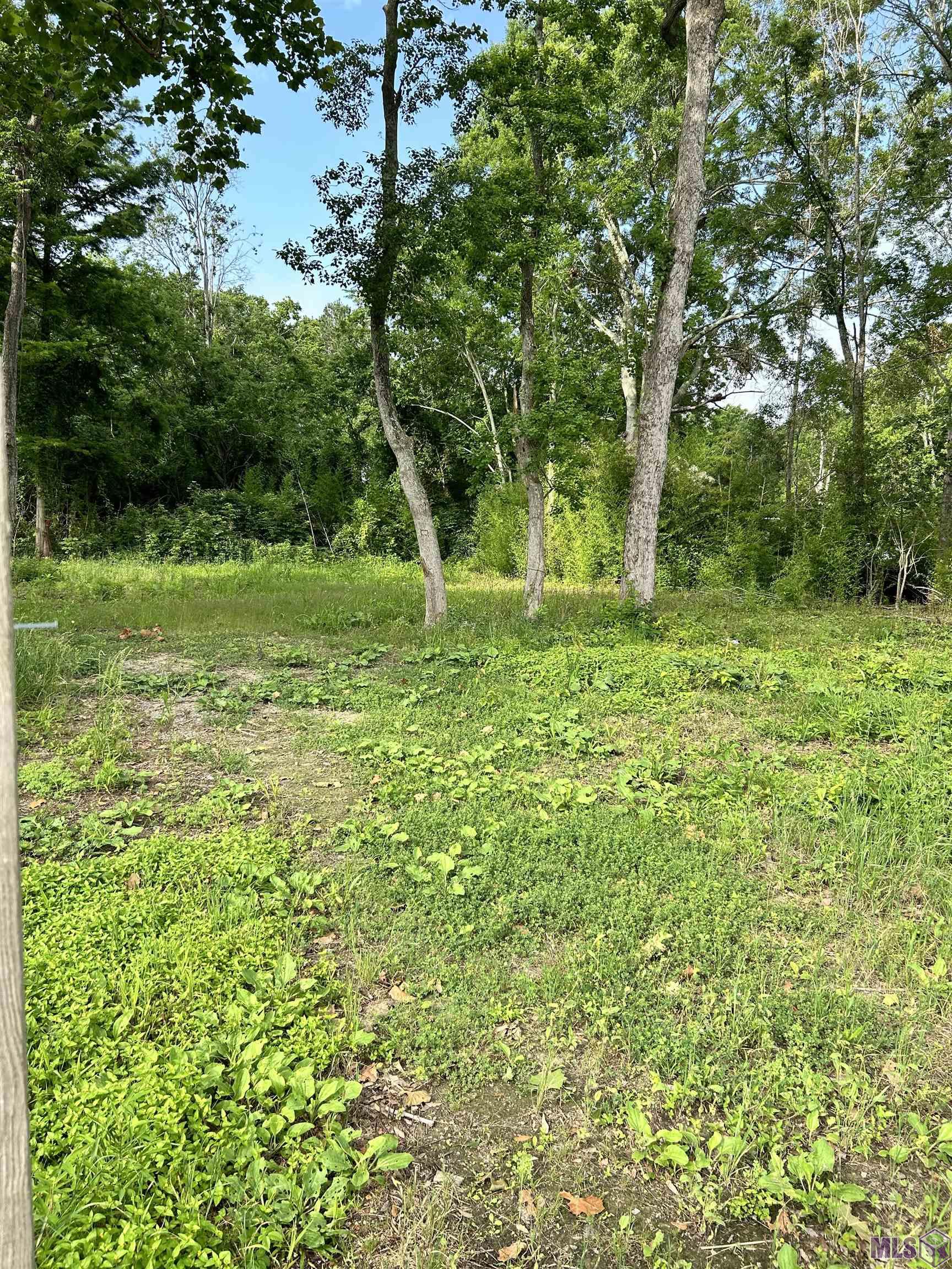 3223 Brightside Drive Baton Rouge, LA 70820 - Photo 2 of 3 Gallery Image 2