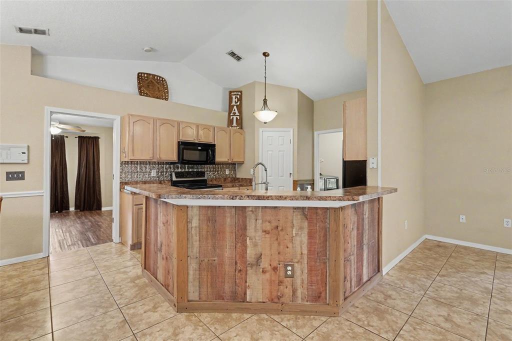 4618 Reola Road Dover, FL 33527 - Photo 5 of 35 Gallery Image 5