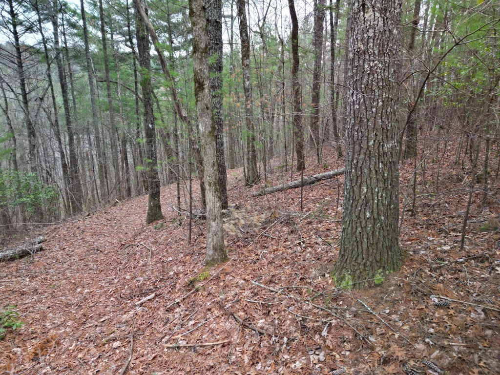Tbb Grape Creek Road Murphy, NC 28906 - Photo 4 of 7