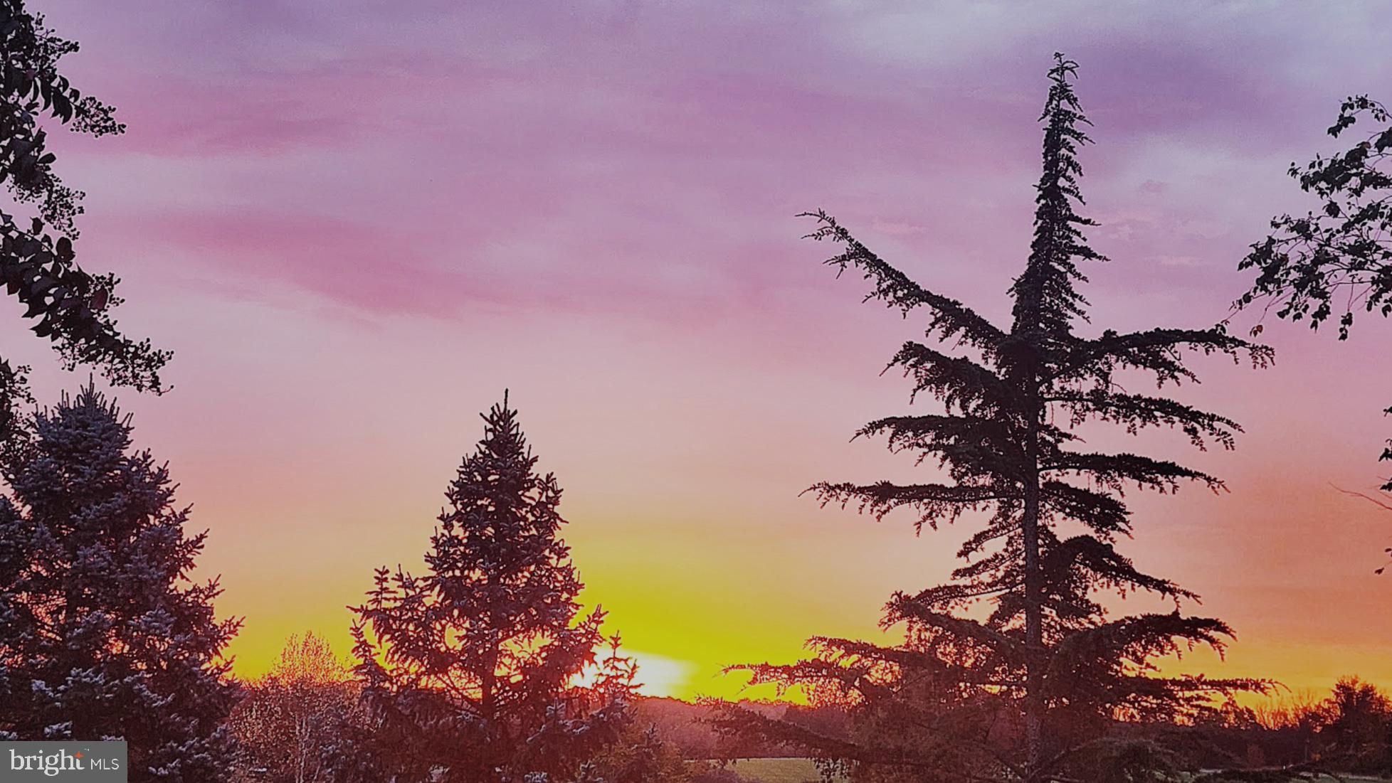 19829 Somercote Lane Leesburg, VA 20175 - Photo 76 of 89