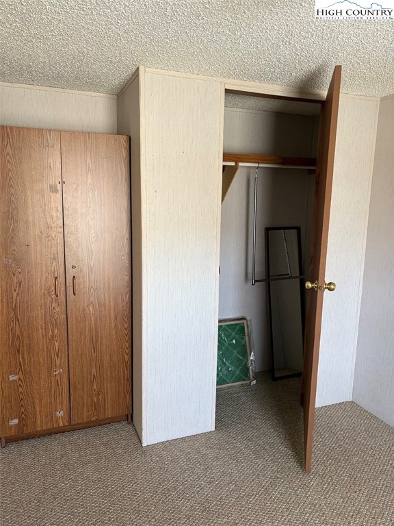 801 Howards Creek Church Road Boone, NC 28607 - Photo 14 of 26 a view of closet area