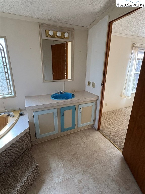 801 Howards Creek Church Road Boone, NC 28607 - Photo 23 of 26 a bathroom with a sink and a mirror