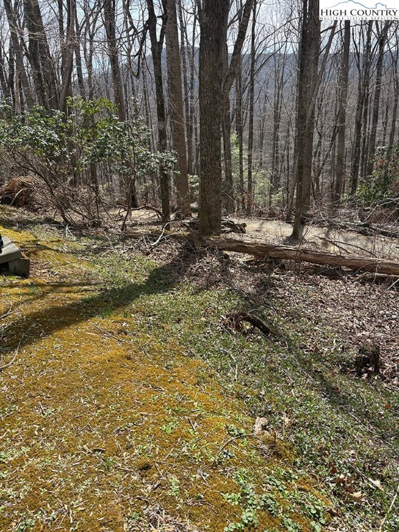 801 Howards Creek Church Road Boone, NC 28607 - Photo 25 of 26 a view of outdoor space with trees