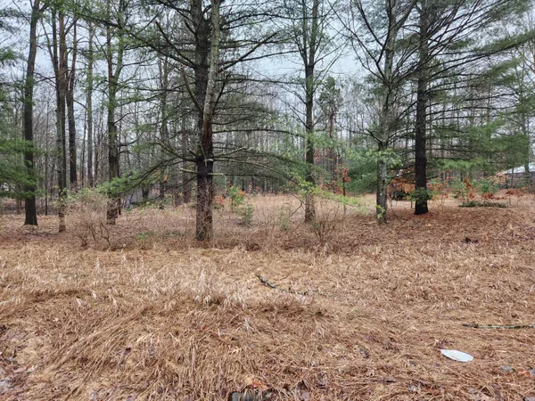 $29,500 | 8071 Rolling Drive, Lake, MI 48632
