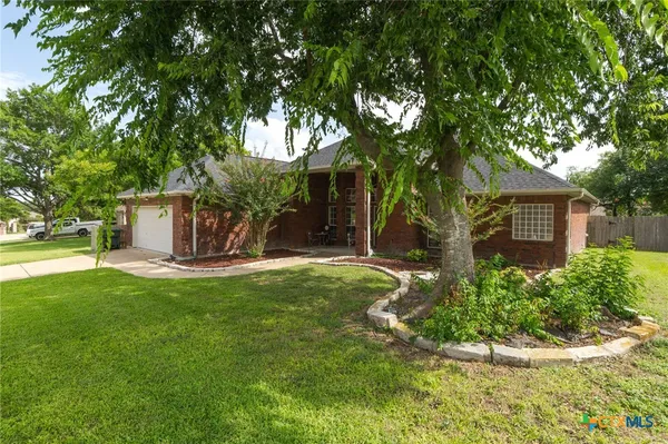 a view of a house with backyard and a tree