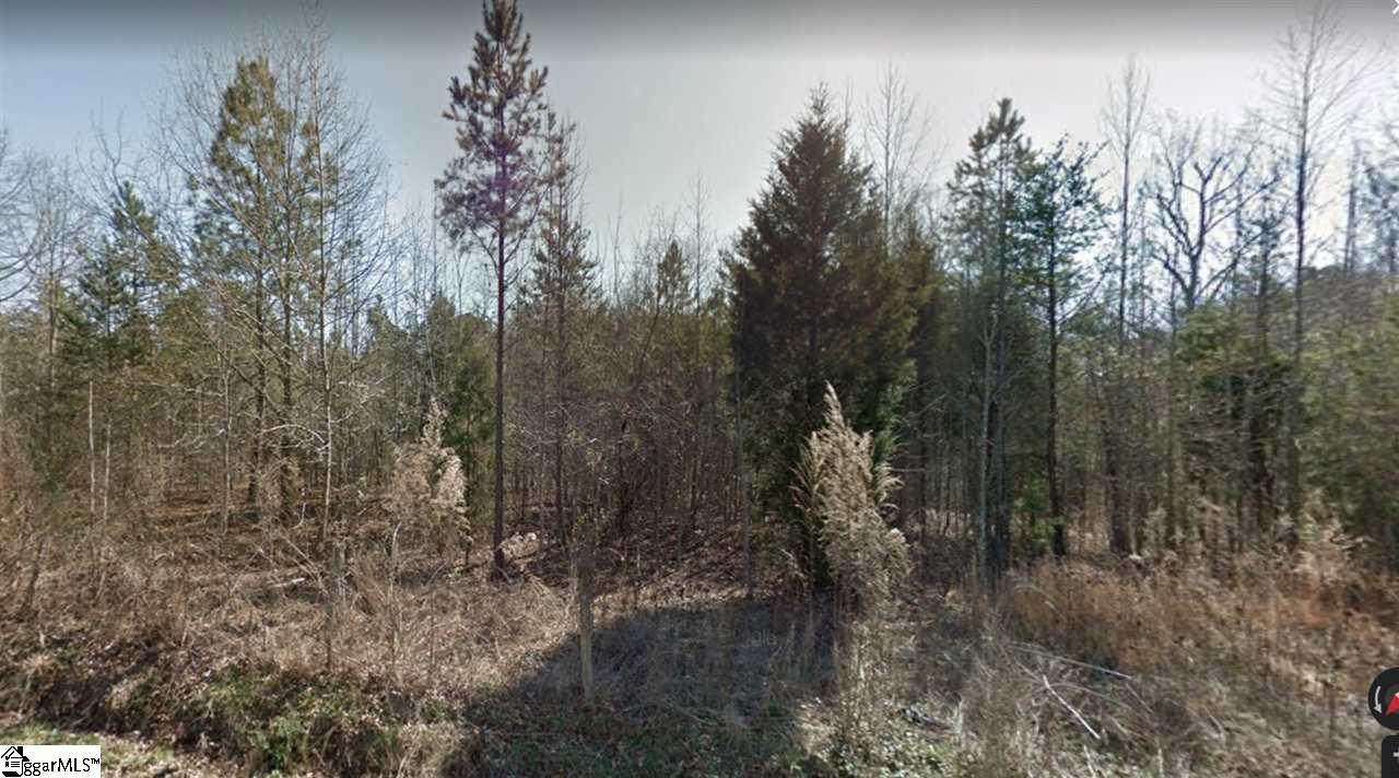 0 Sally Gilreath Road Travelers Rest, SC 29690 - Photo 2 of 6 Gallery Image 2
