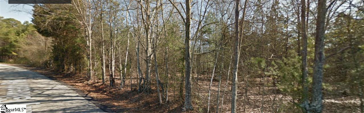 0 Sally Gilreath Road Travelers Rest, SC 29690 - Photo 4 of 6 Gallery Image 4