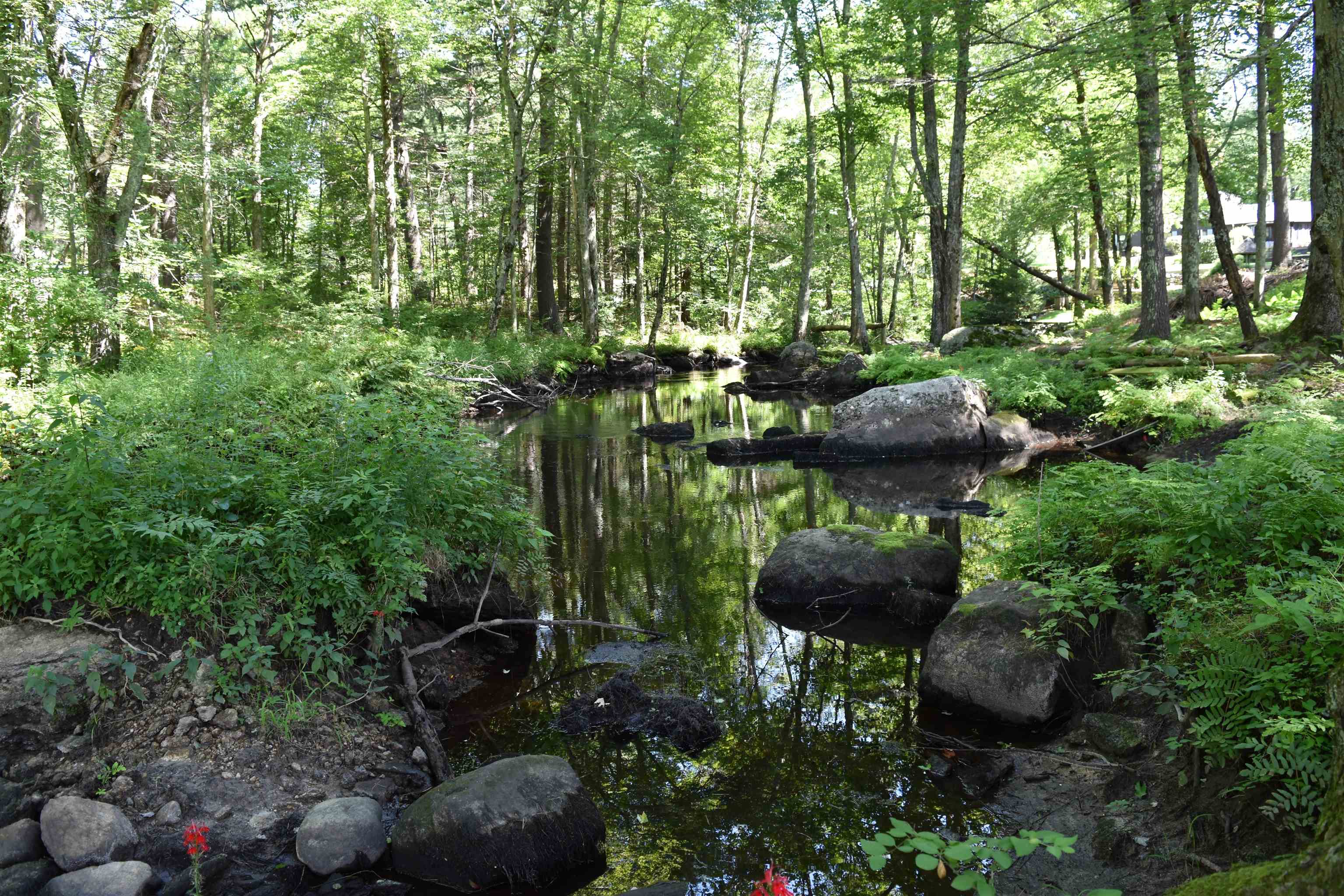 150 Joppa Road Merrimack, NH 03054 - Photo 3 of 38