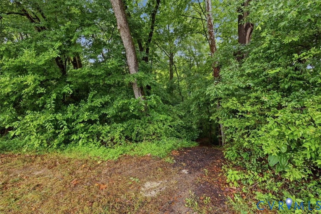 8085 Old Ridge Road Ashland, VA 23005 - Photo 48 of 53