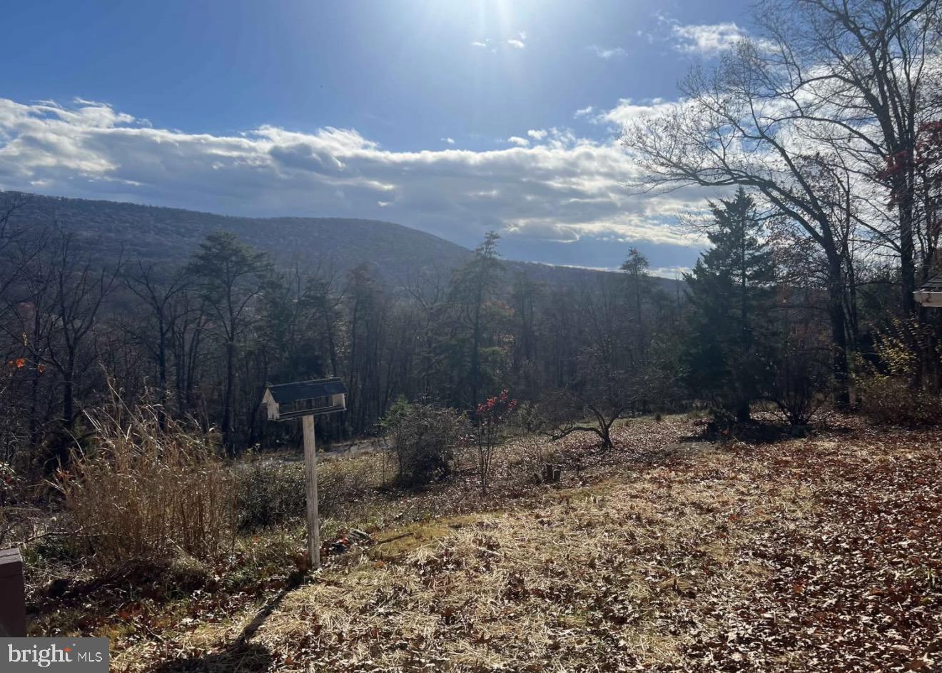 2280 Pine Grove Road Berkeley Springs, WV 25411 - Photo 1 of 2