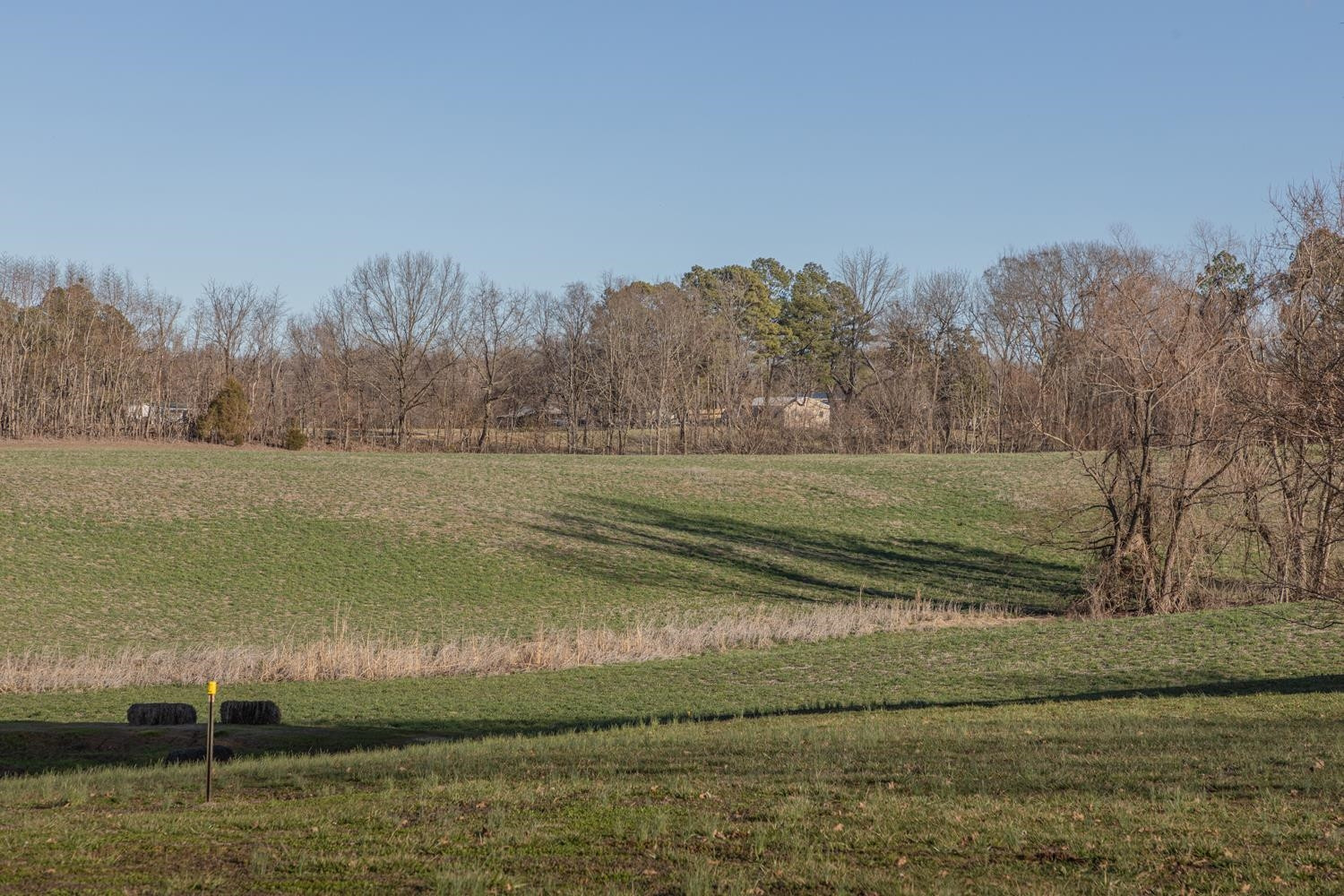 0 Campground Road Troy, TN 38260 - Photo 15 of 26 Photo 15
