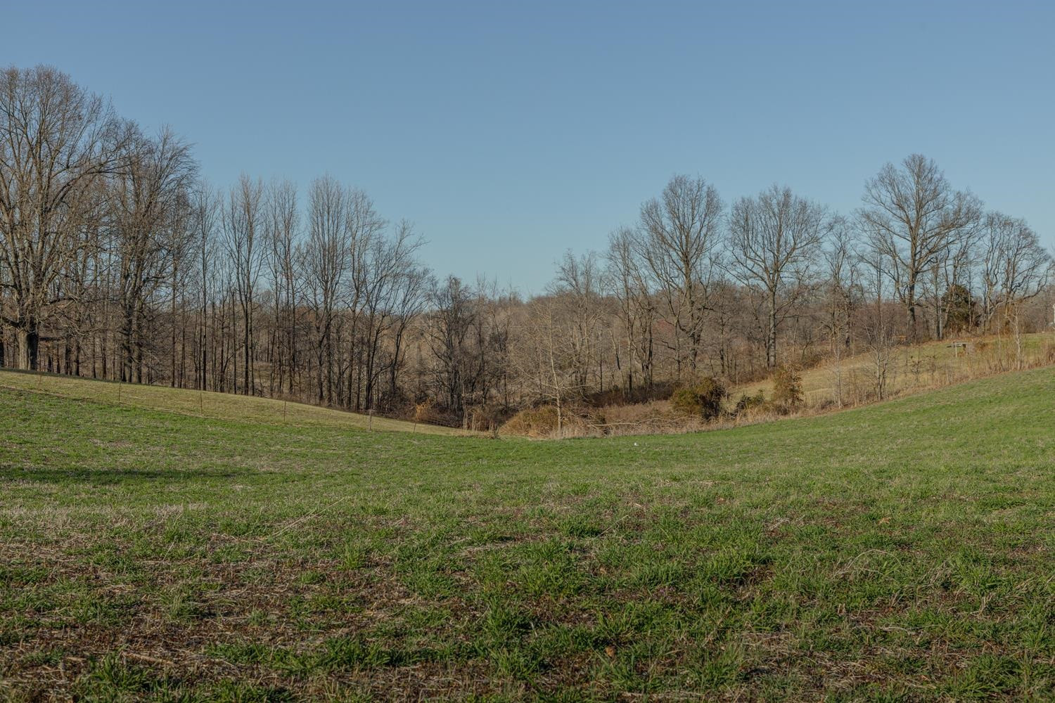 0 Campground Road Troy, TN 38260 - Photo 22 of 26 Photo 22