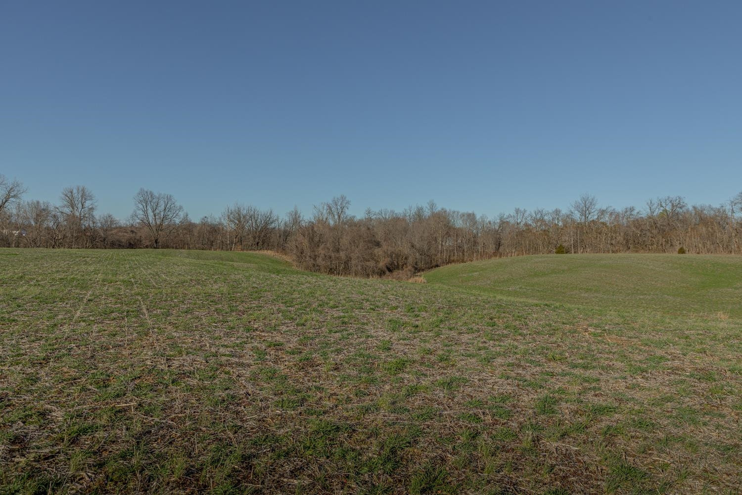 0 Campground Road Troy, TN 38260 - Photo 8 of 26 Photo 8
