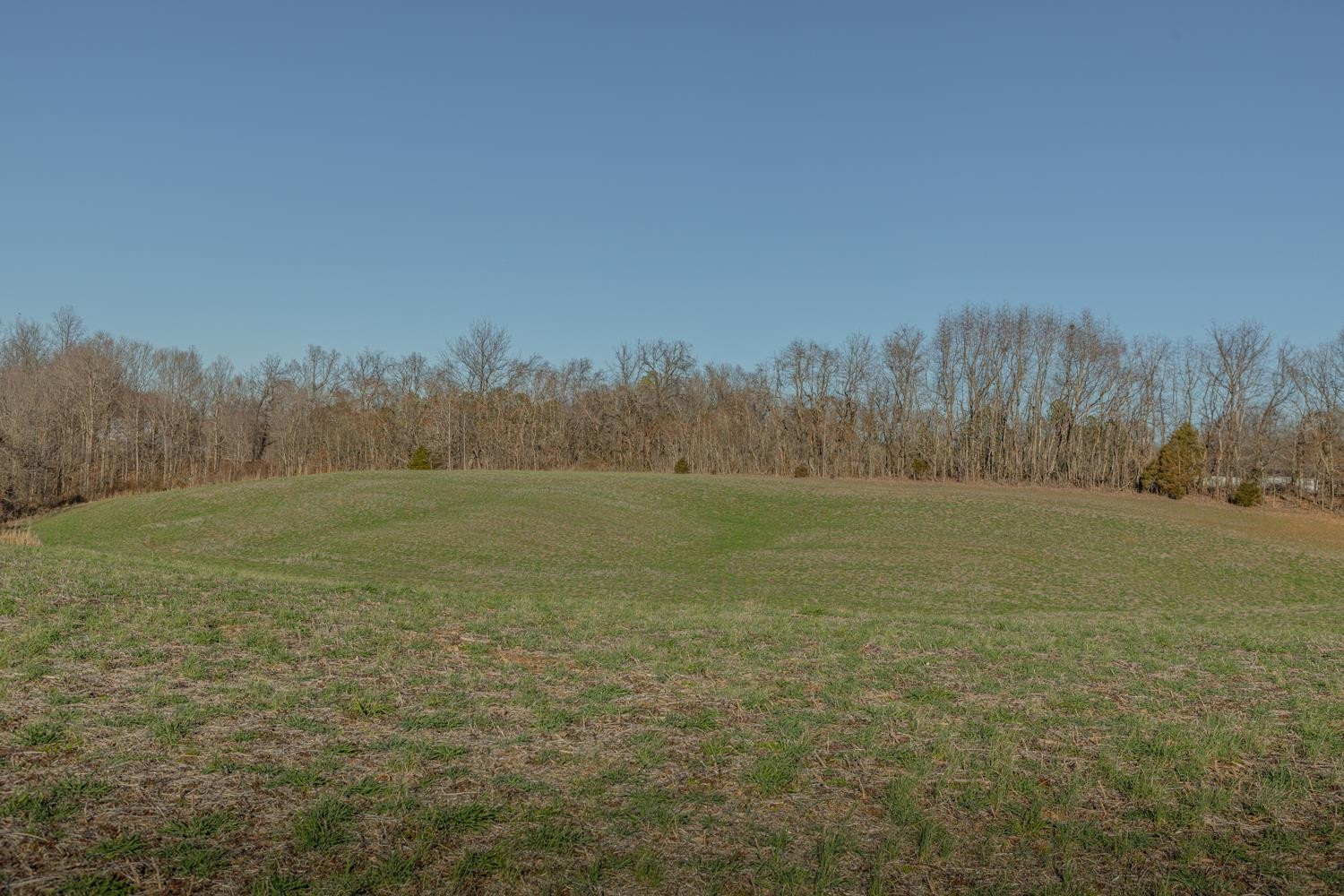 0 Campground Road Troy, TN 38260 - Photo 9 of 26 Photo 9