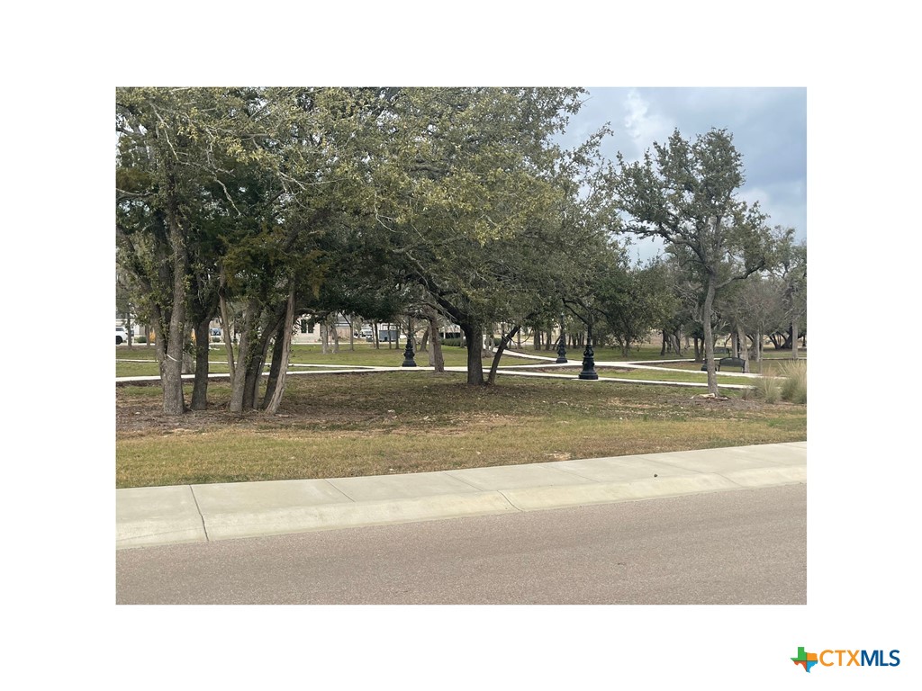 413 Blue Sage Lane Salado, TX 76571 - Photo 12 of 14 a view of a park with large trees