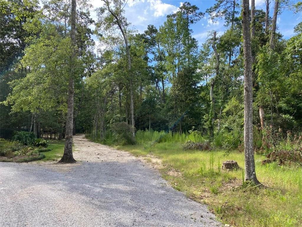 17539 Three Rivers Road Covington, LA 70433 - Photo 2 of 7