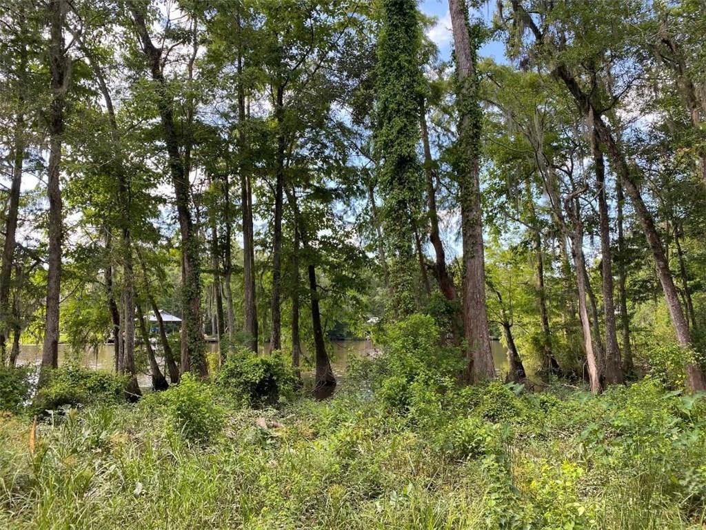 17539 Three Rivers Road Covington, LA 70433 - Photo 6 of 7