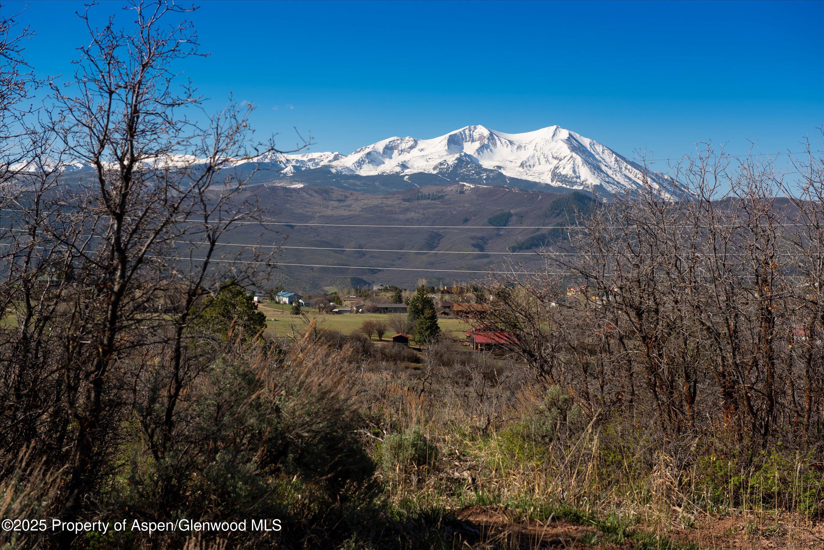 81 Mountain View Road Carbondale, CO 81623 - Photo 12 of 13 20-81GreenMeadow_24042519