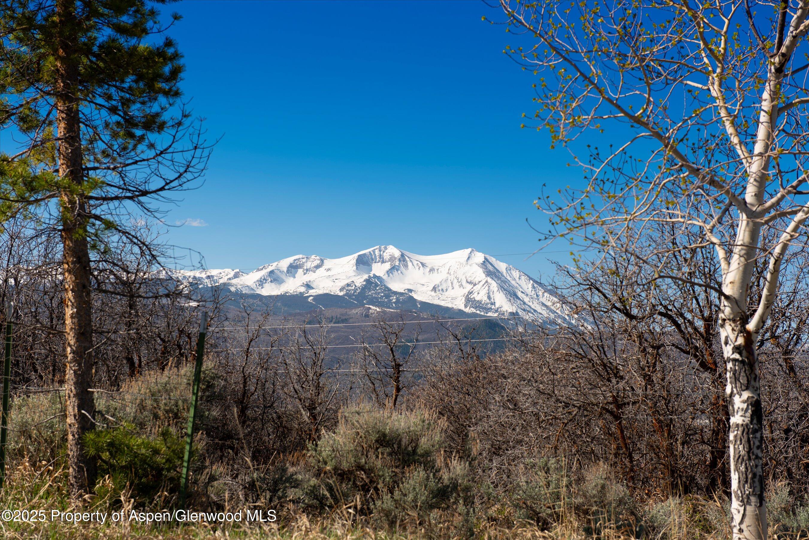 81 Mountain View Road Carbondale, CO 81623 - Photo 3 of 13 06-81GreenMeadow_24042525