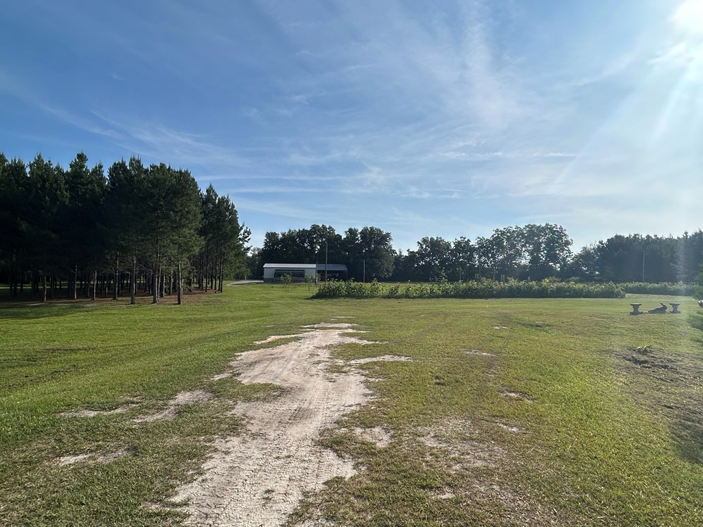 3876 D D Hodge Road Cottonwood, AL 36320 - Photo 21 of 48
