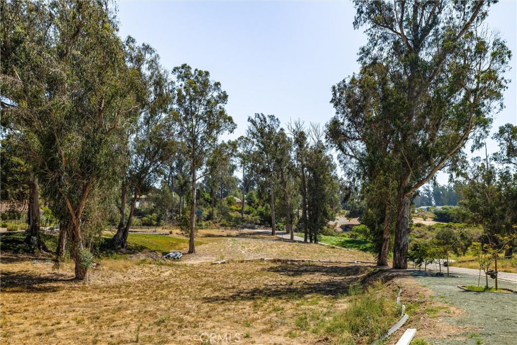 2 Castle Bluff Road Arroyo Grande, CA 93420 - Photo 10 of 34 Gallery Image 10