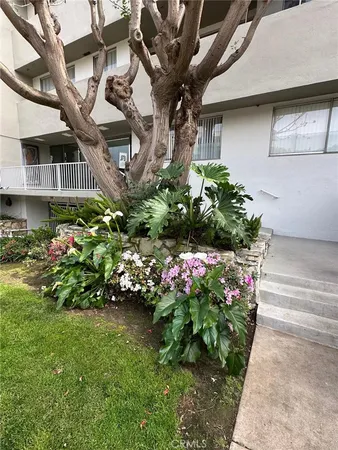 $3,495 | 11692 Chenault Street, Unit 303, Los Angeles, CA 90049