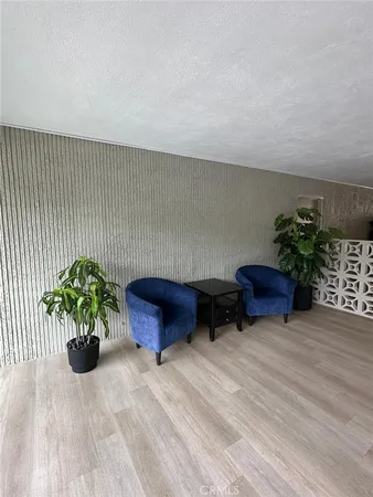 a room with furniture and potted plant