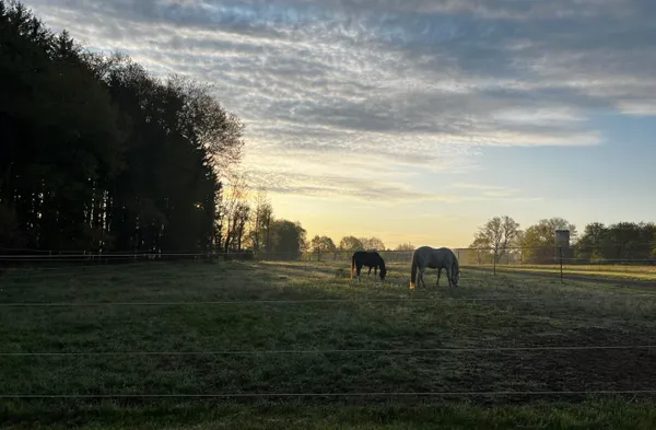 $525,000 | 19250 Homer Road, Marshall, MI 49068