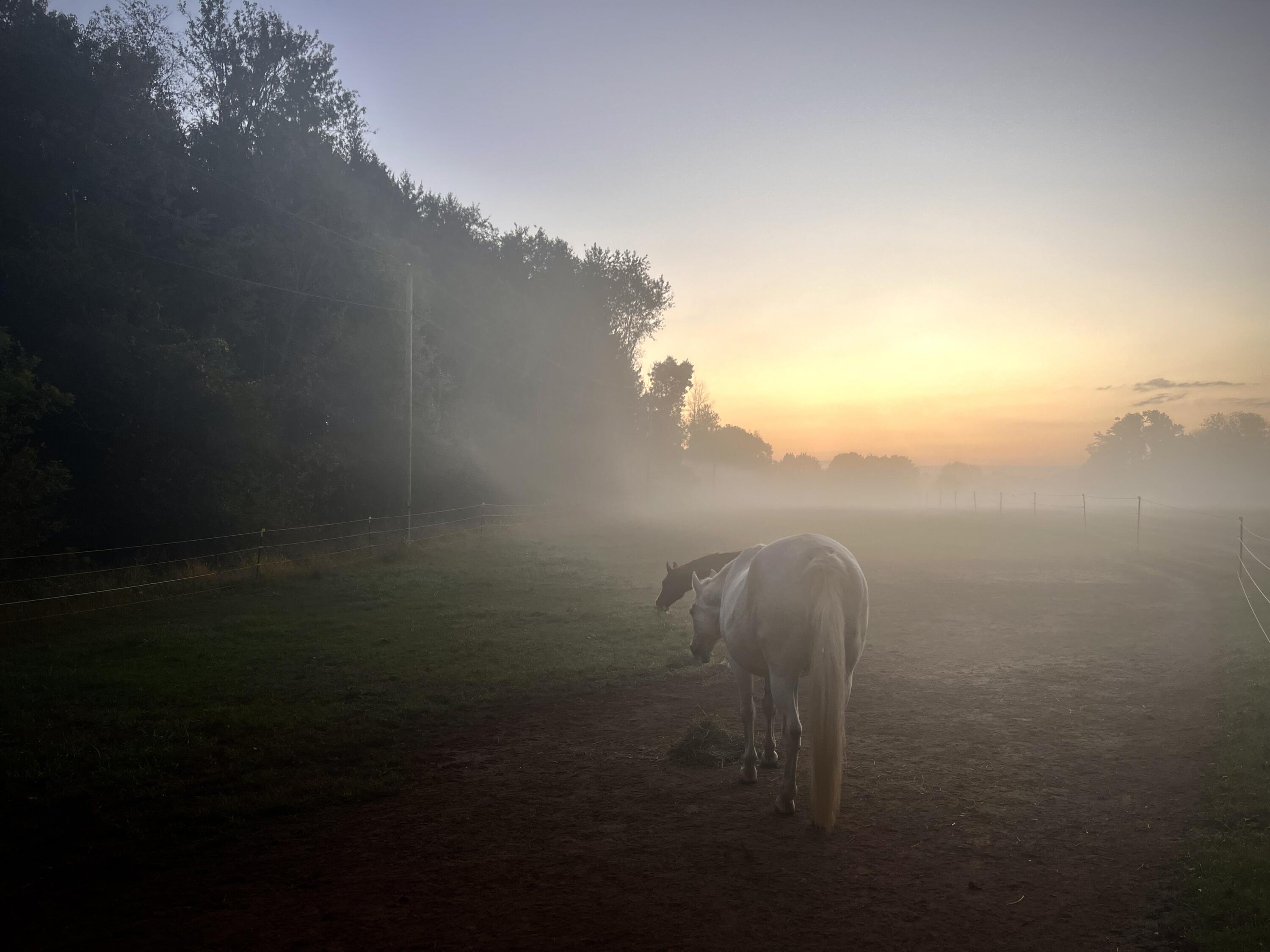 19250 Homer Road Marshall, MI 49068 - Photo 56 of 94 IMG_5271