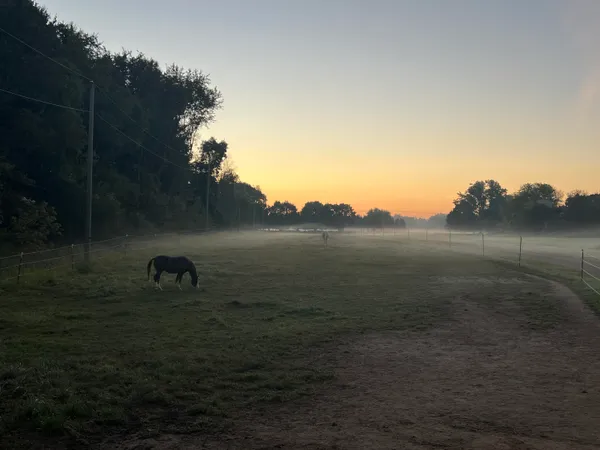 $525,000 | 19250 Homer Road, Marshall, MI 49068