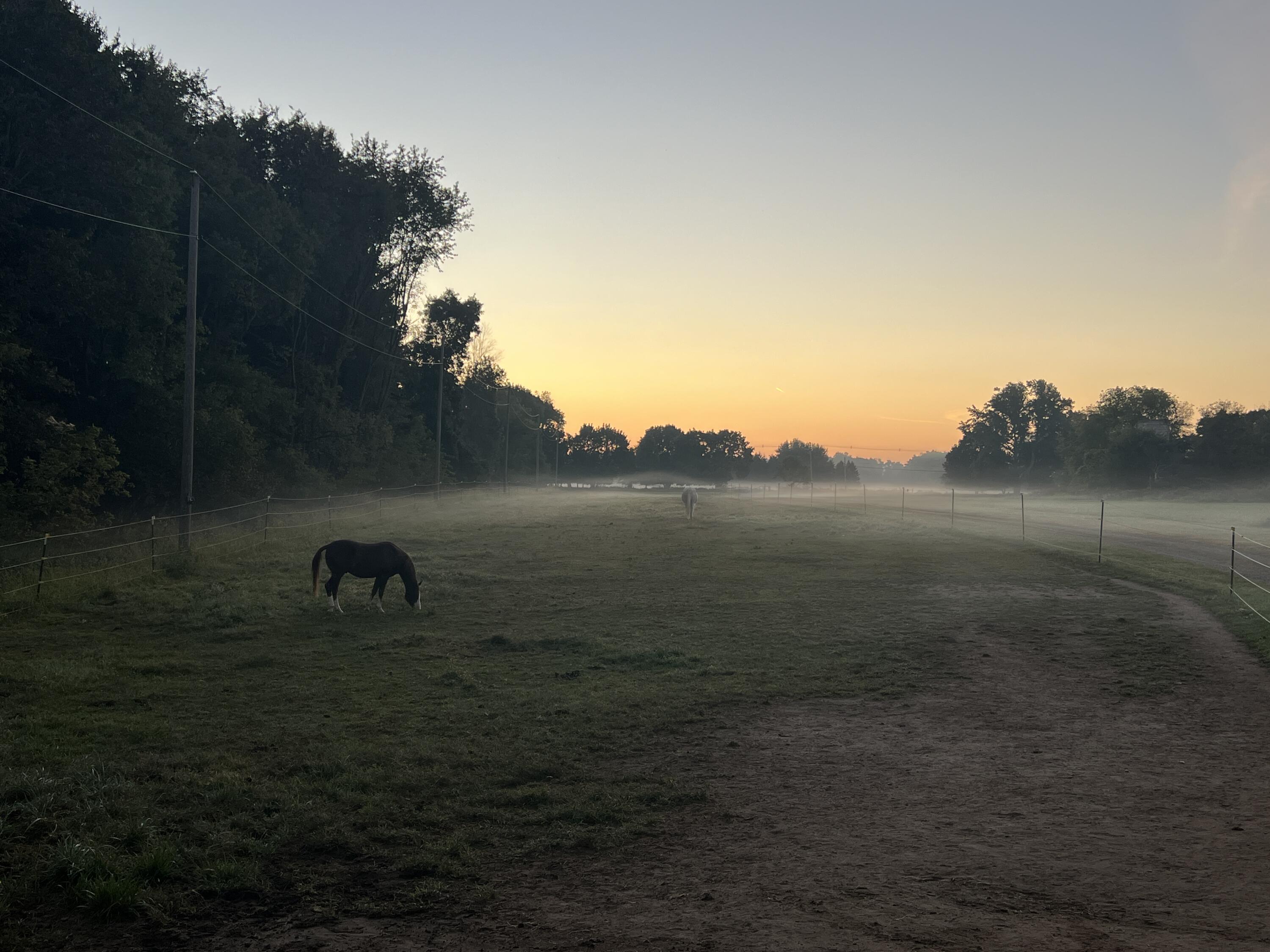 19250 Homer Road Marshall, MI 49068 - Photo 58 of 94 IMG_5265