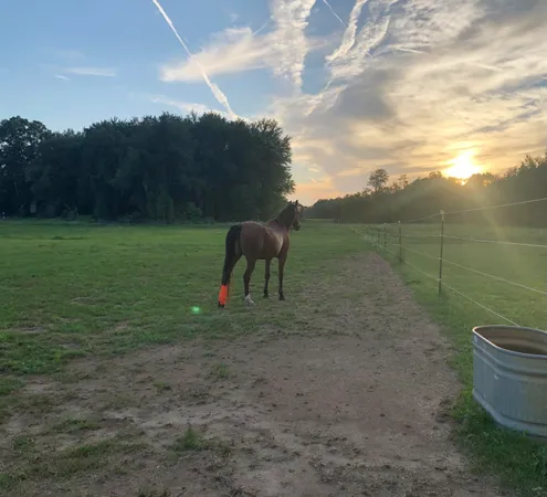 $525,000 | 19250 Homer Road, Marshall, MI 49068