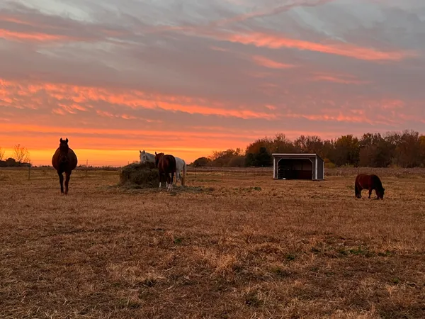$525,000 | 19250 Homer Road, Marshall, MI 49068