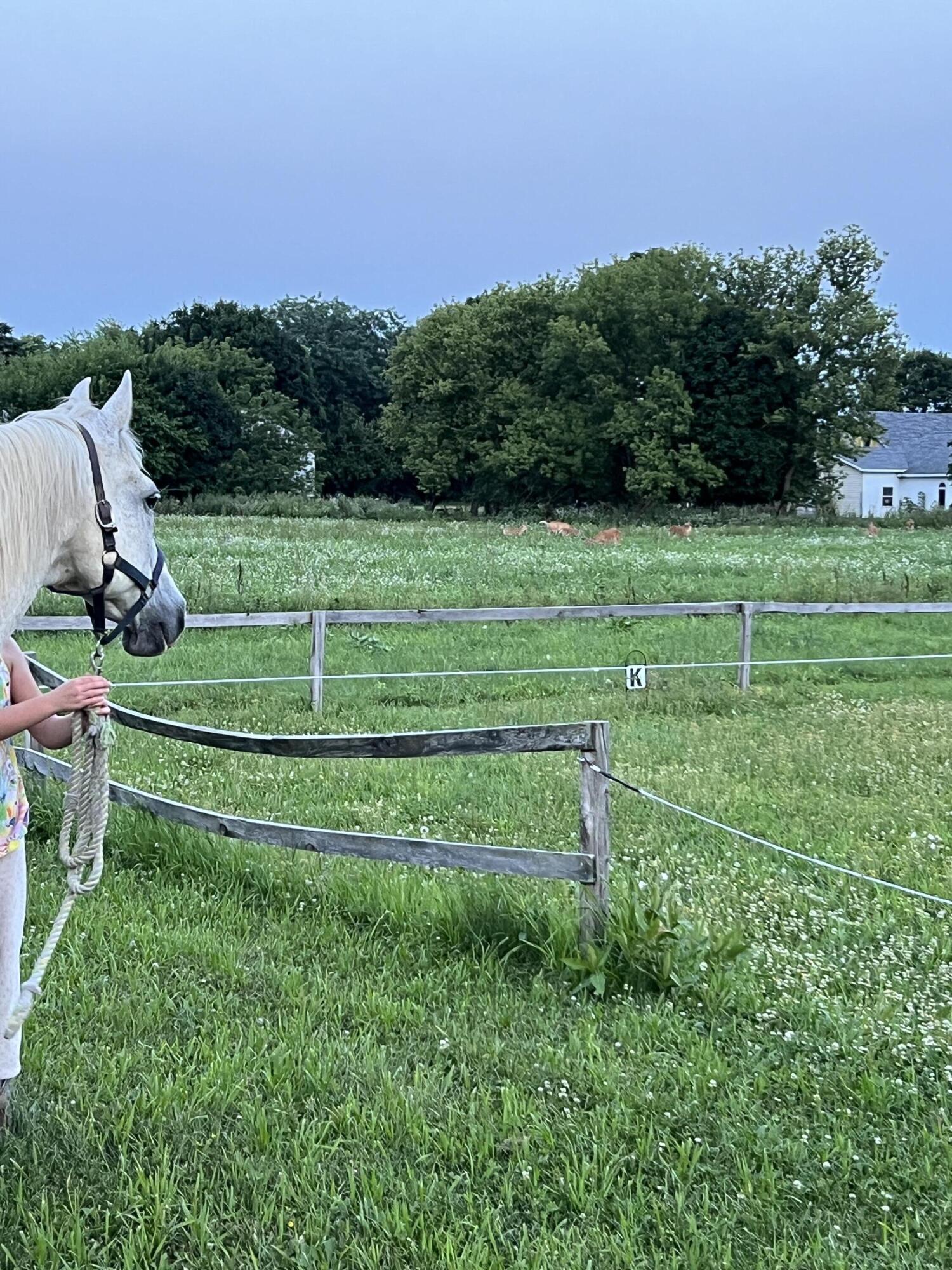 19250 Homer Road Marshall, MI 49068 - Photo 63 of 94 IMG_5259