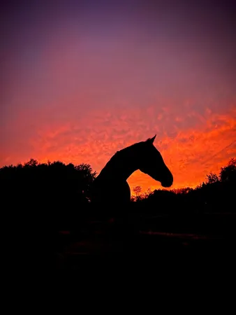 $525,000 | 19250 Homer Road, Marshall, MI 49068