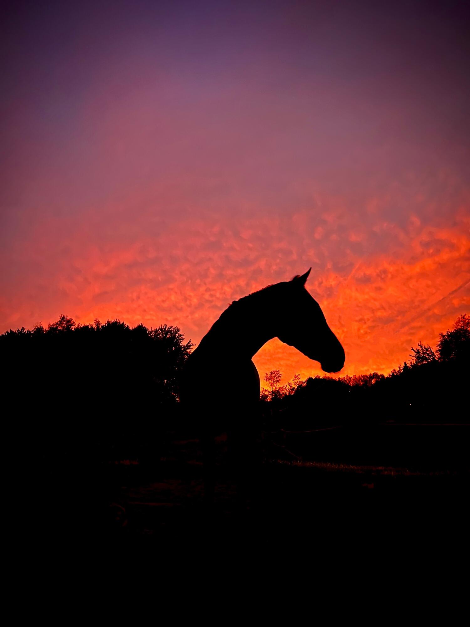 19250 Homer Road Marshall, MI 49068 - Photo 64 of 94 IMG_5255